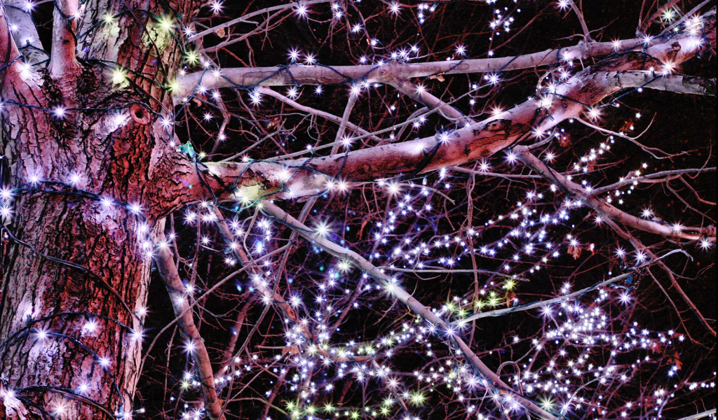 Гирлянды / Рождество