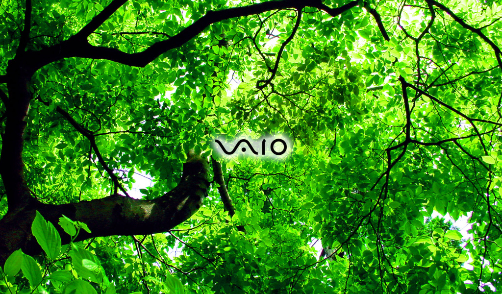 Производитель лоптопов Sony