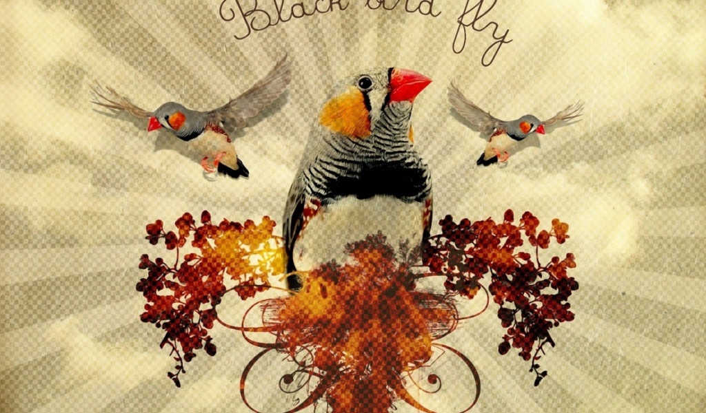 Птица - цветок