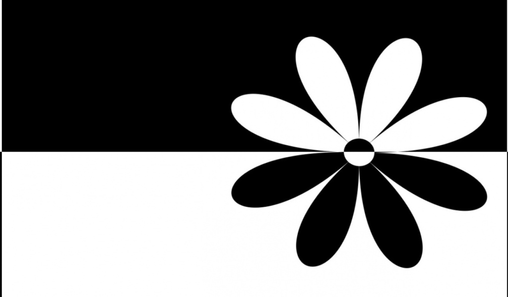 черный белый