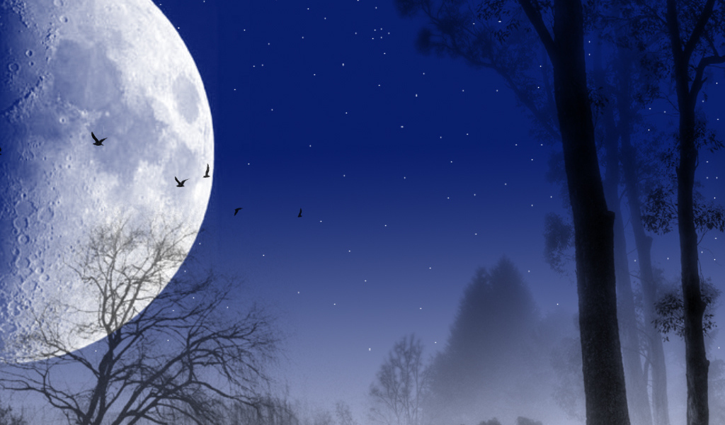 Темная ночь