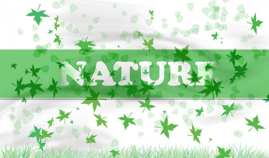 В натуре - природа