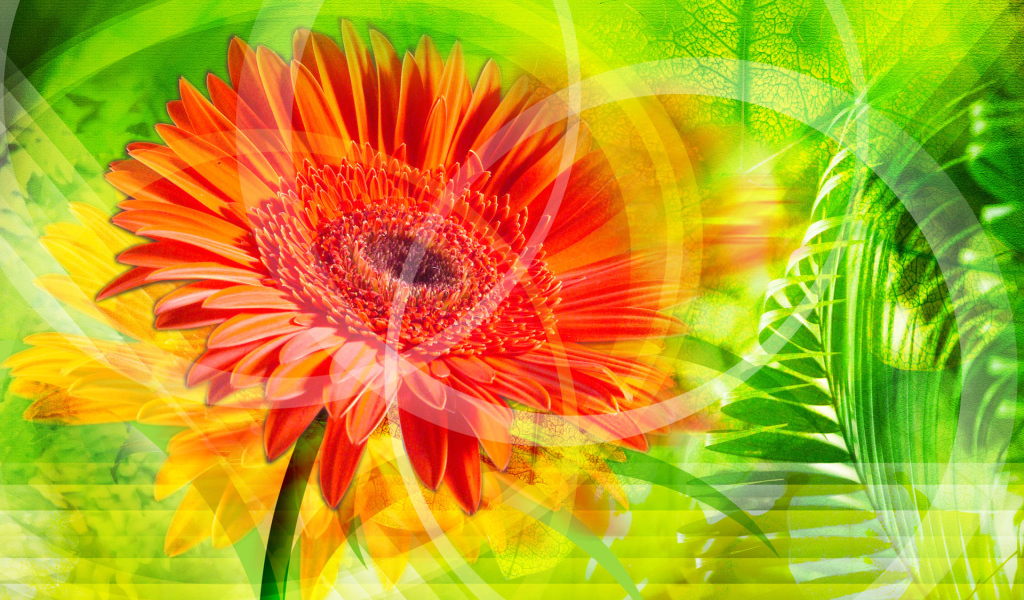 Красное сияние