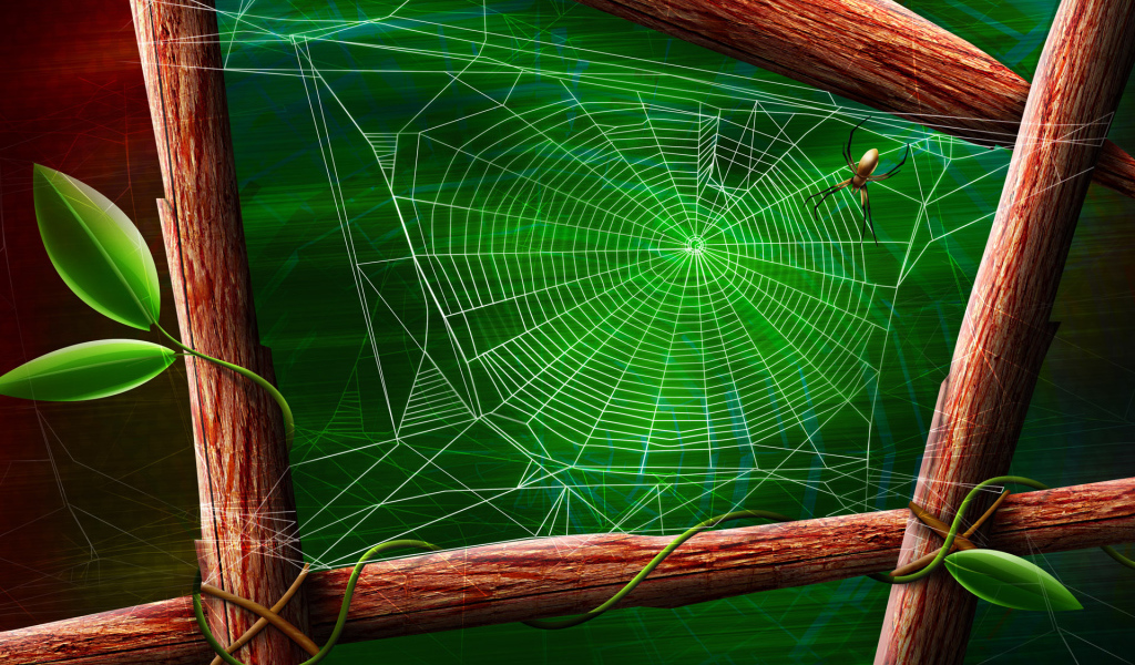 Паук и паутина