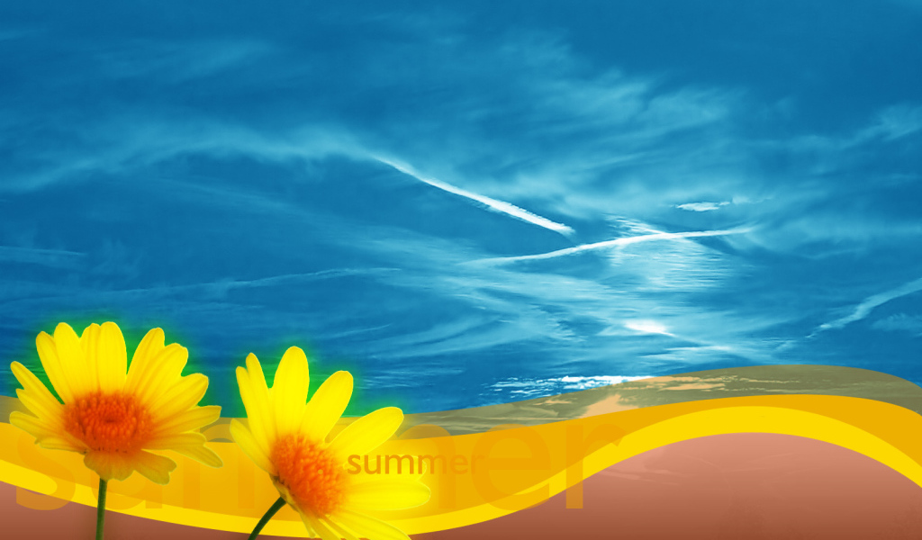 Летние ромашки