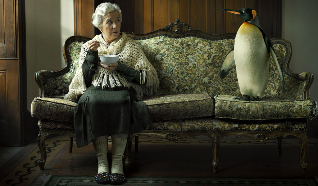 Старушка и пингвин