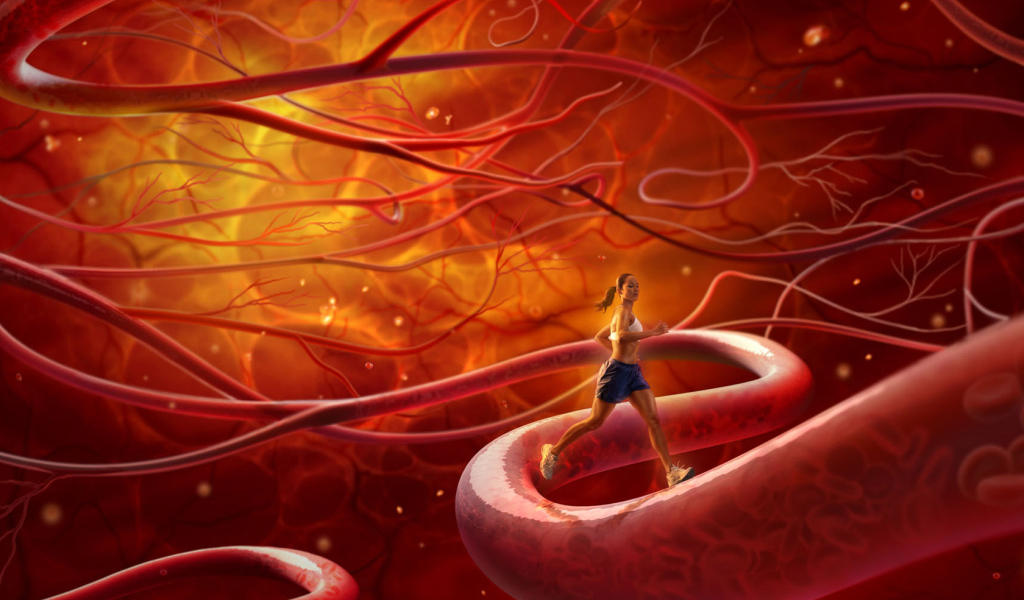 Тренировка