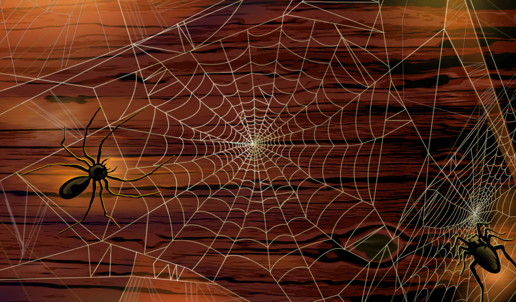 Хэллоуин / Паутина