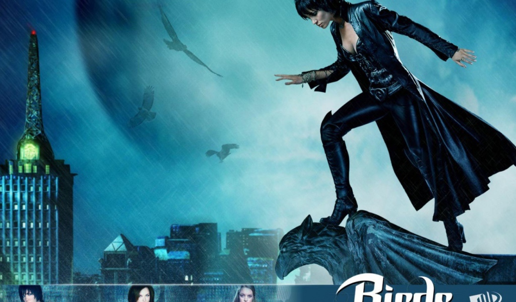 Birds of pray Птицы гордости