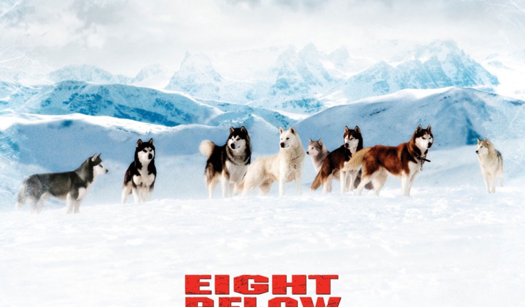 Белый плен / Eight Below