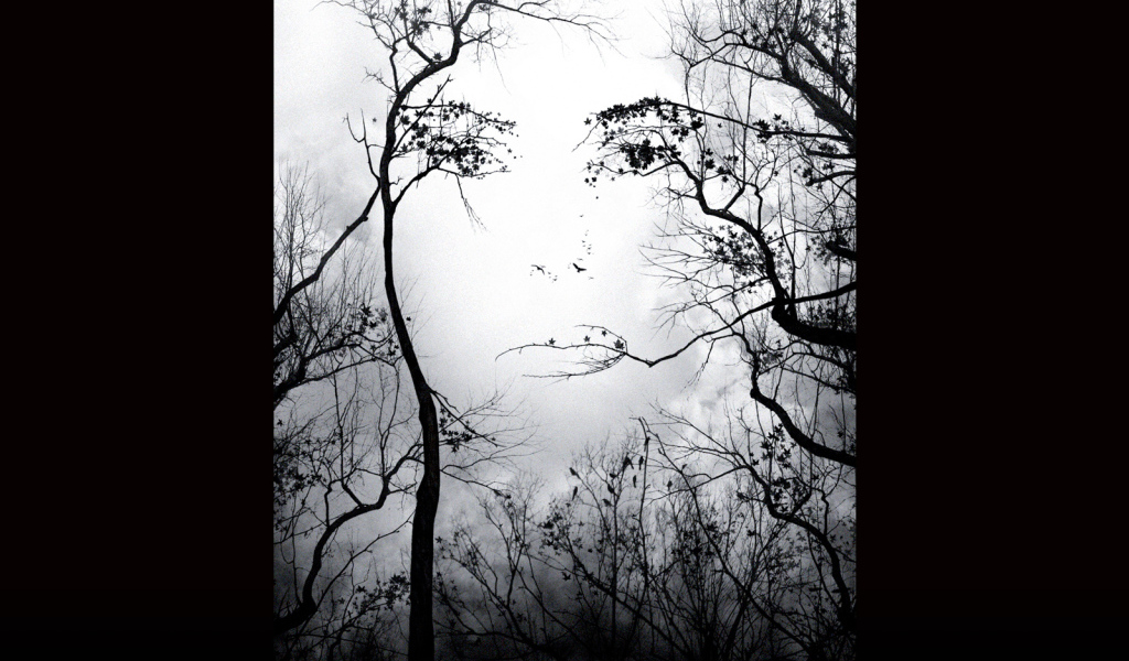 Предчувствие (2007) / Premonition