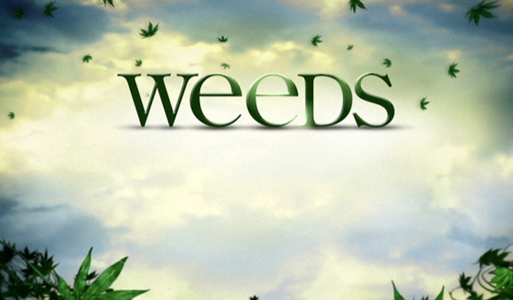 Косяки / Weeds