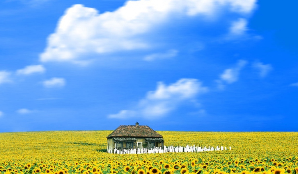 Свет вокруг / Everything Is Illuminated