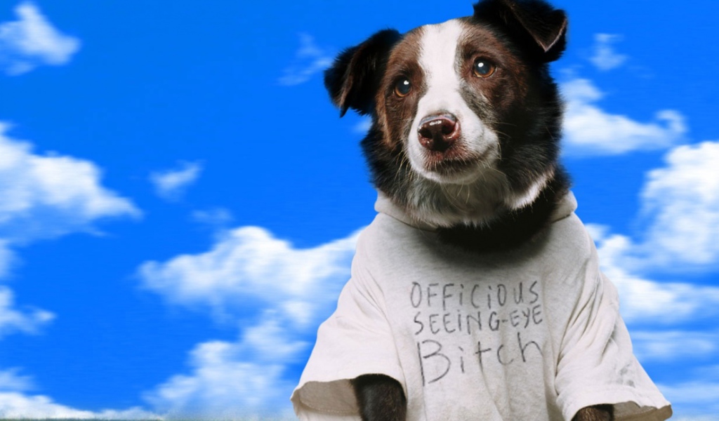 Свет вокруг / Everything Is Illuminated