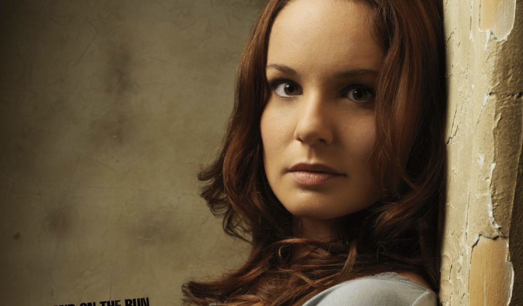 Побег из тюрьмы / Prison Break