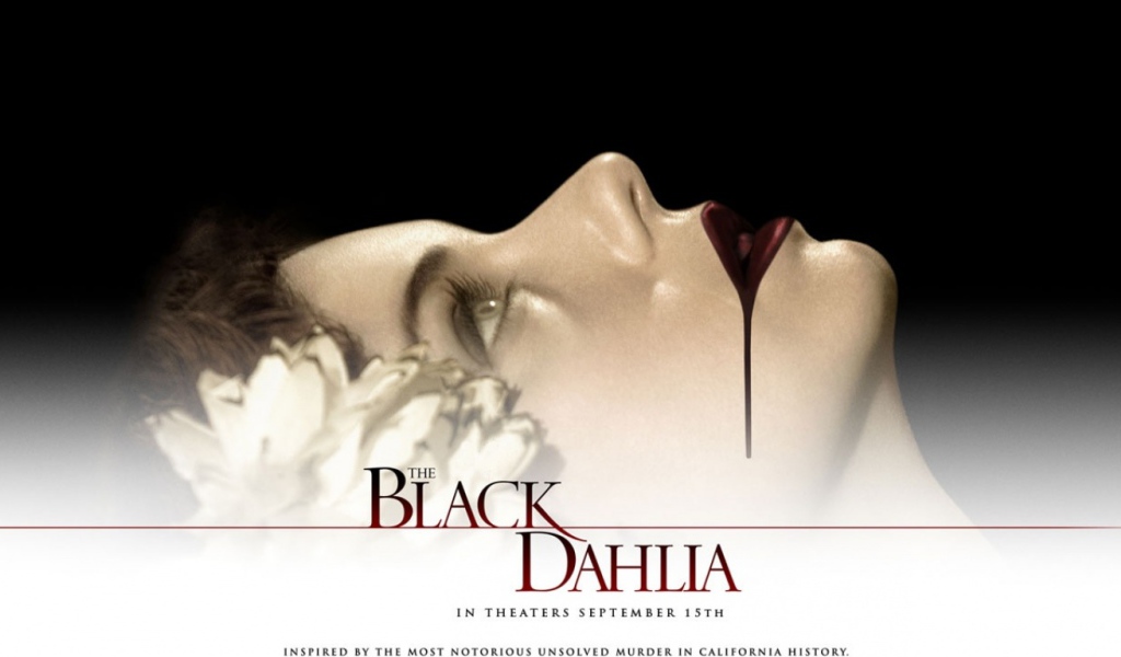 Черный Георгин /  Black Dahlia