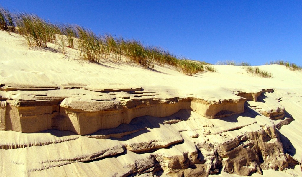 Береговые дюны