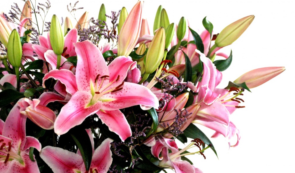 Хороший, Цветы