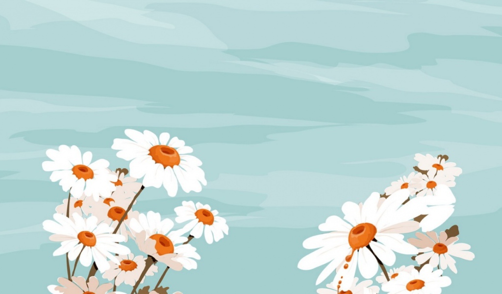 Белые цветы и небо, Цветы