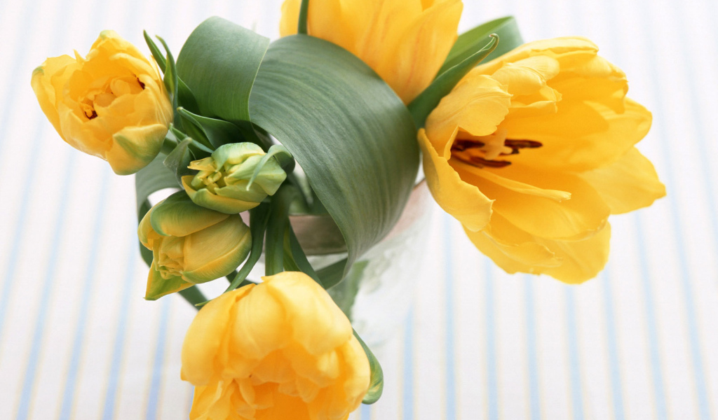 Желтые цветы