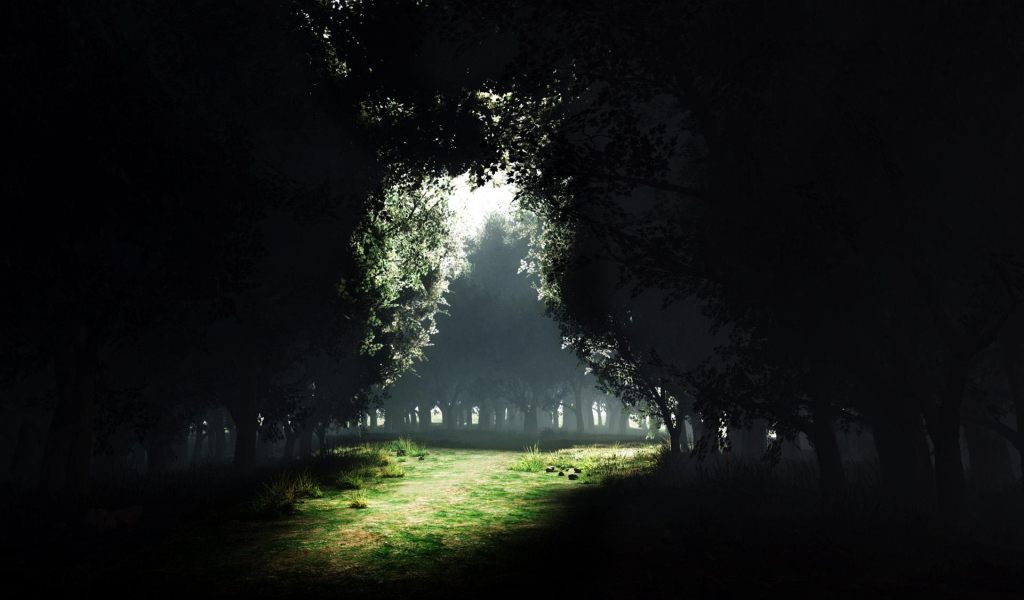 Просвет Темного леса