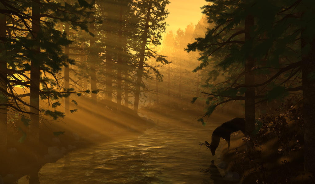 Лесная река