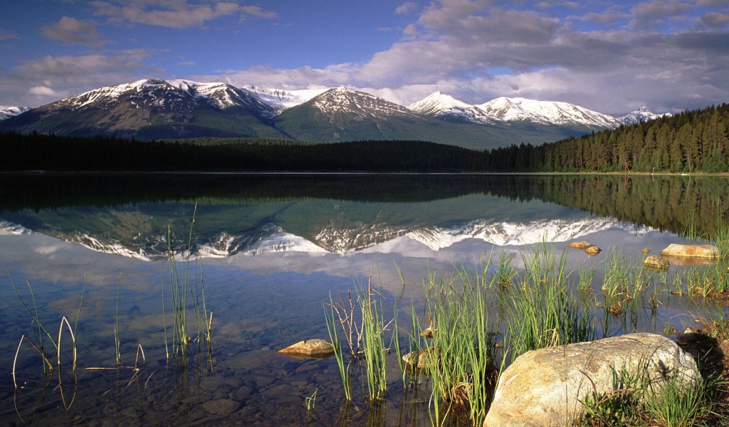 Горы на горизонте