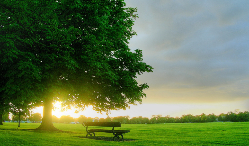 Рассвет в парке