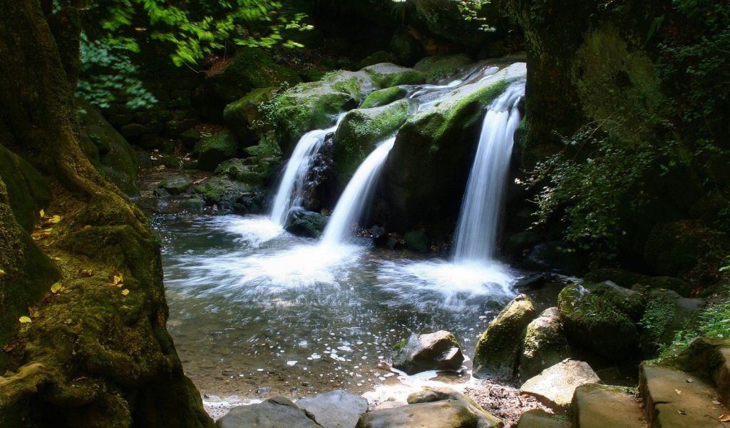 Водопад в лесу