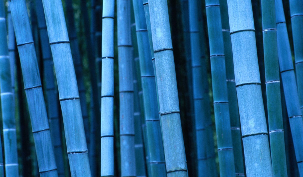 Синий бамбук