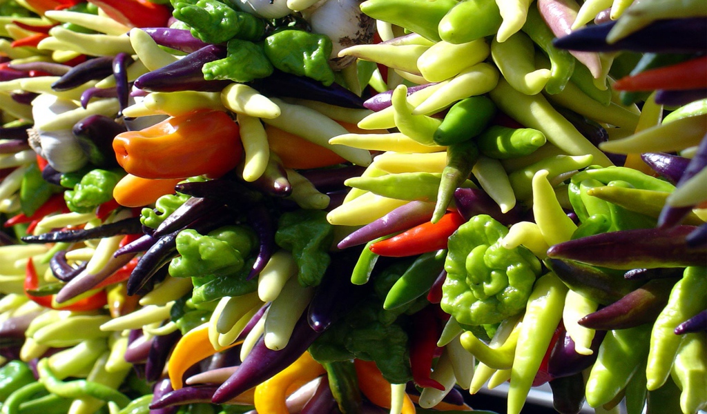 Яркие перцы