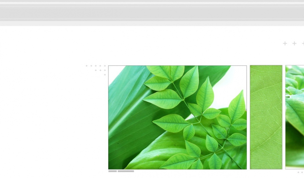 Навес из листьев