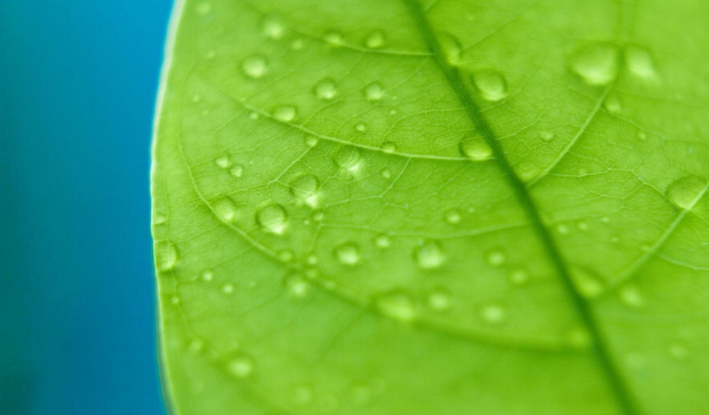 Сбор капель