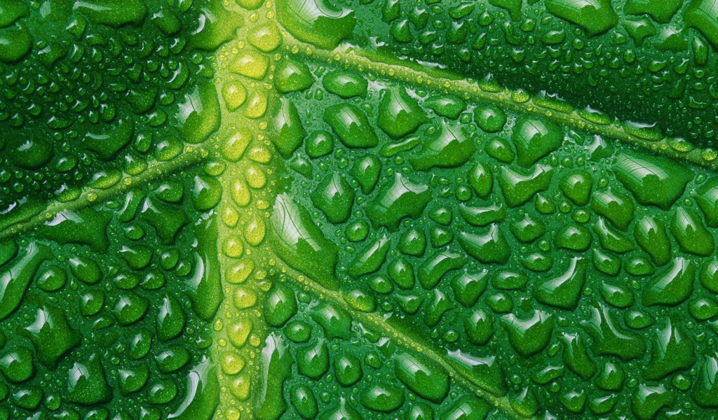 Новый зеленый цвет