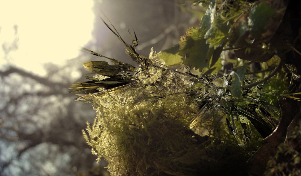 Заостренные листья