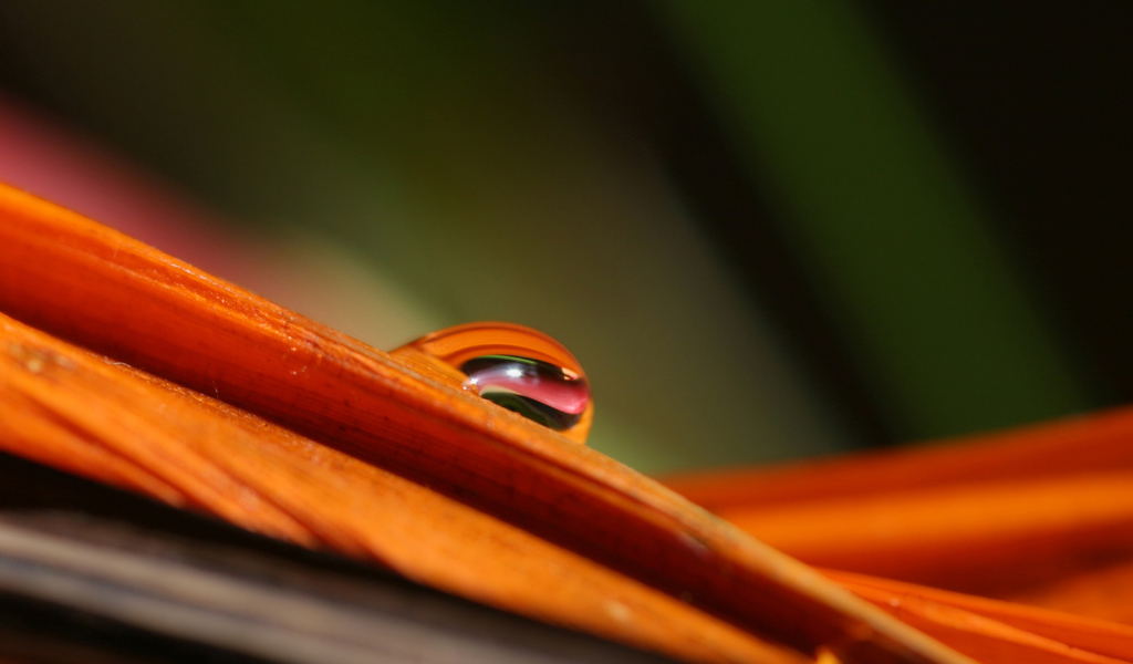 Гладкое Скольжение