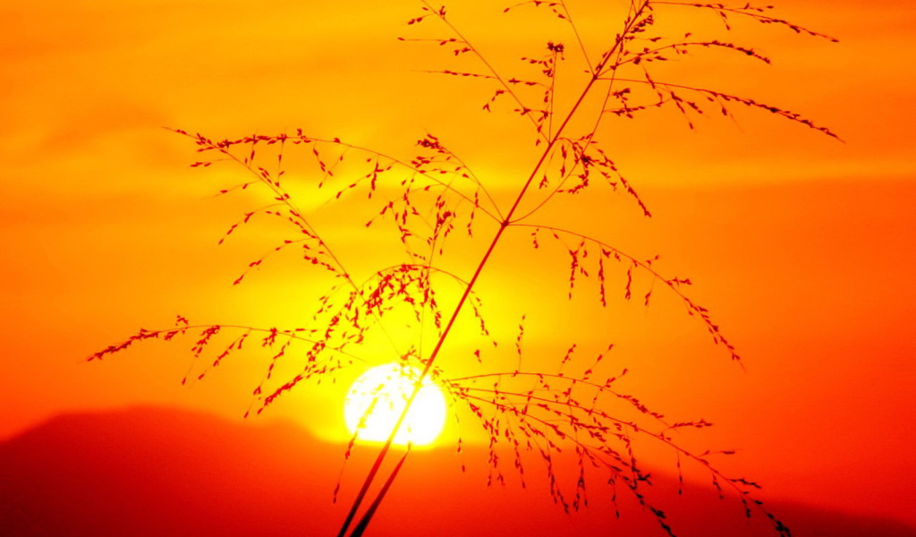 Красивый закат