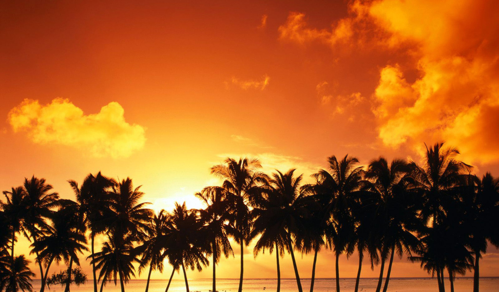 Пальмы на закате