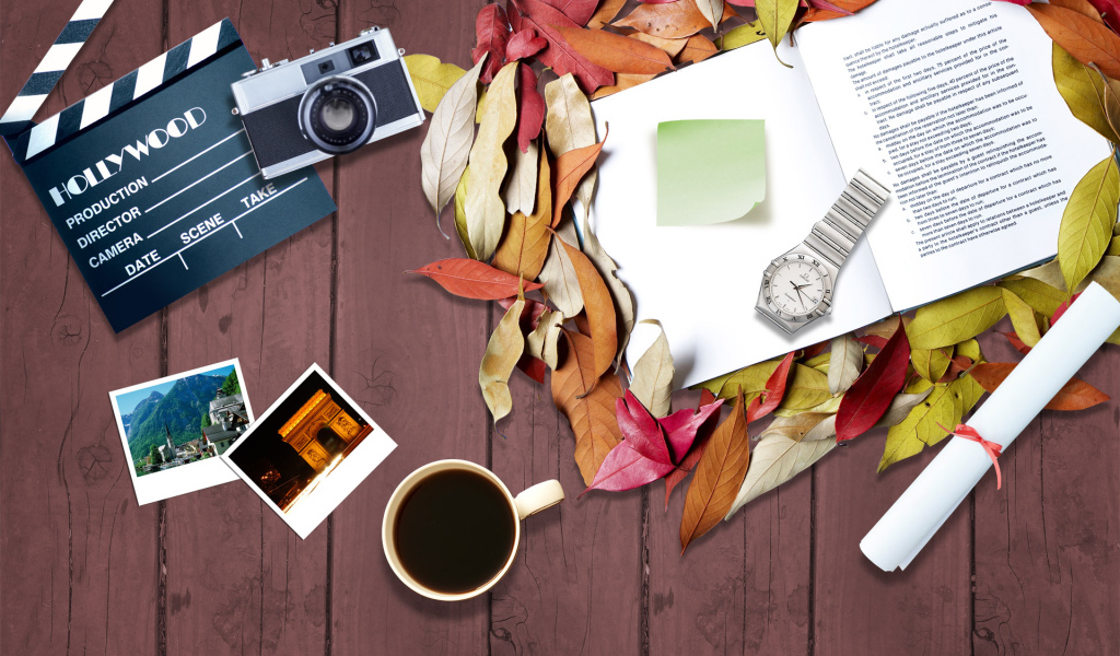 Рабочий стол режиссера