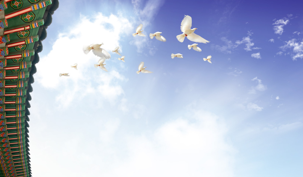 Летящие голуби