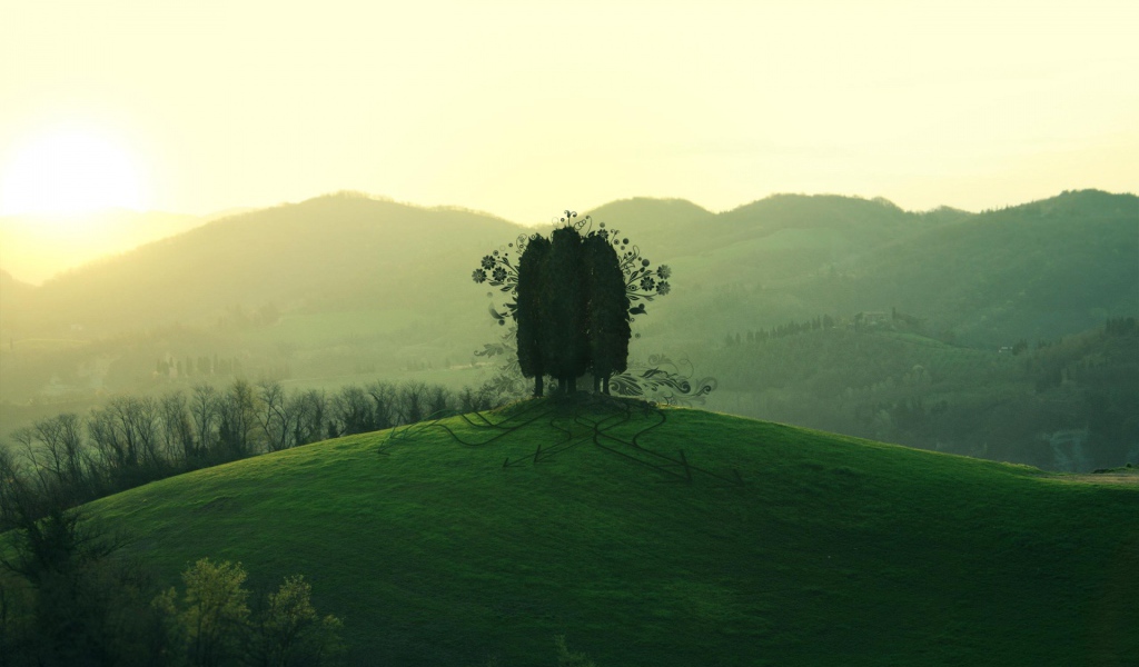 Дерево на зеленом холме