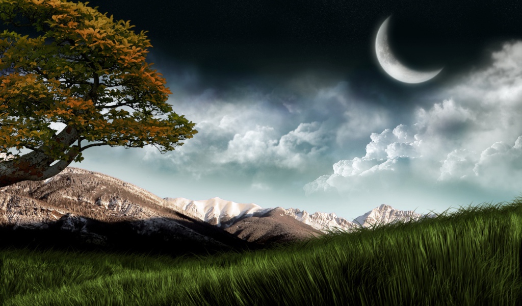 Луна над полем