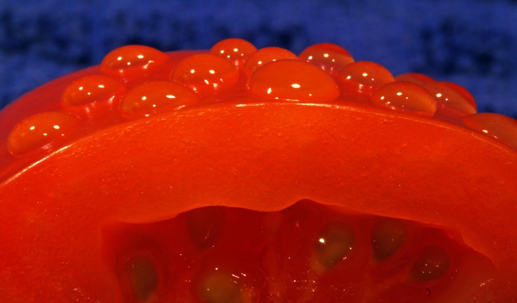 Красный помидор