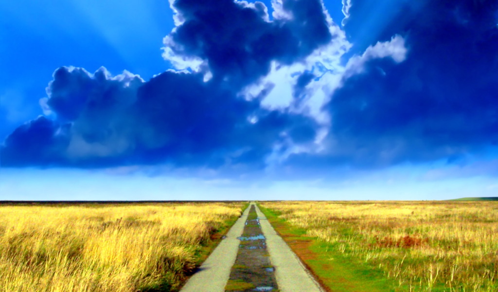 Дорога в никуда