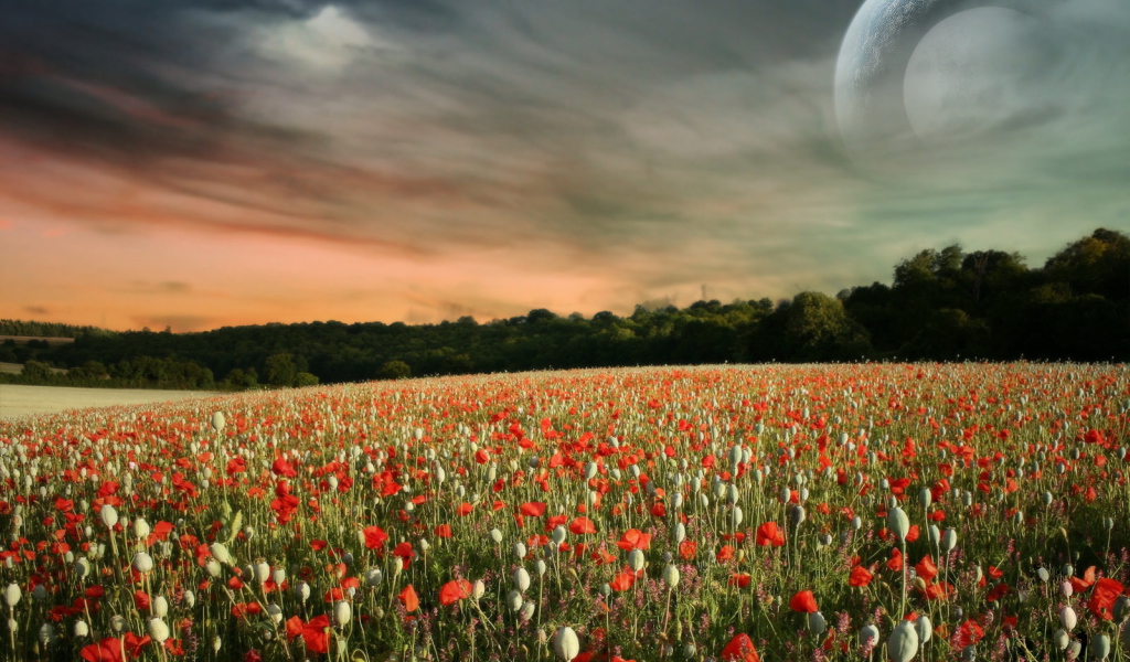 Паралельный мир