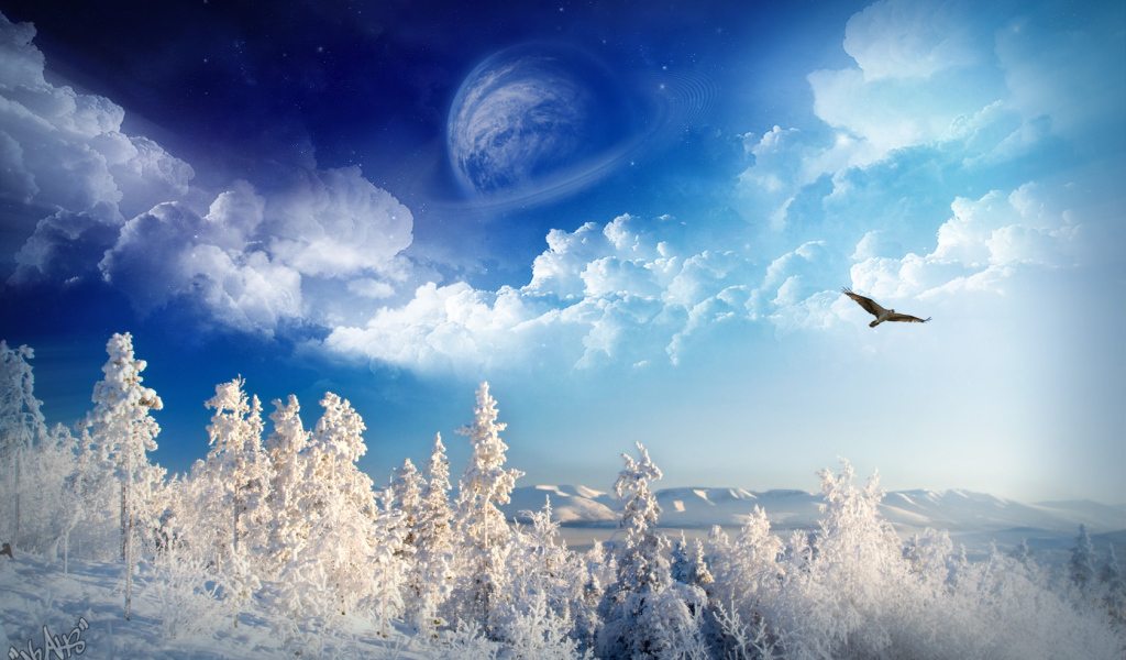 Зимняя страна чудес