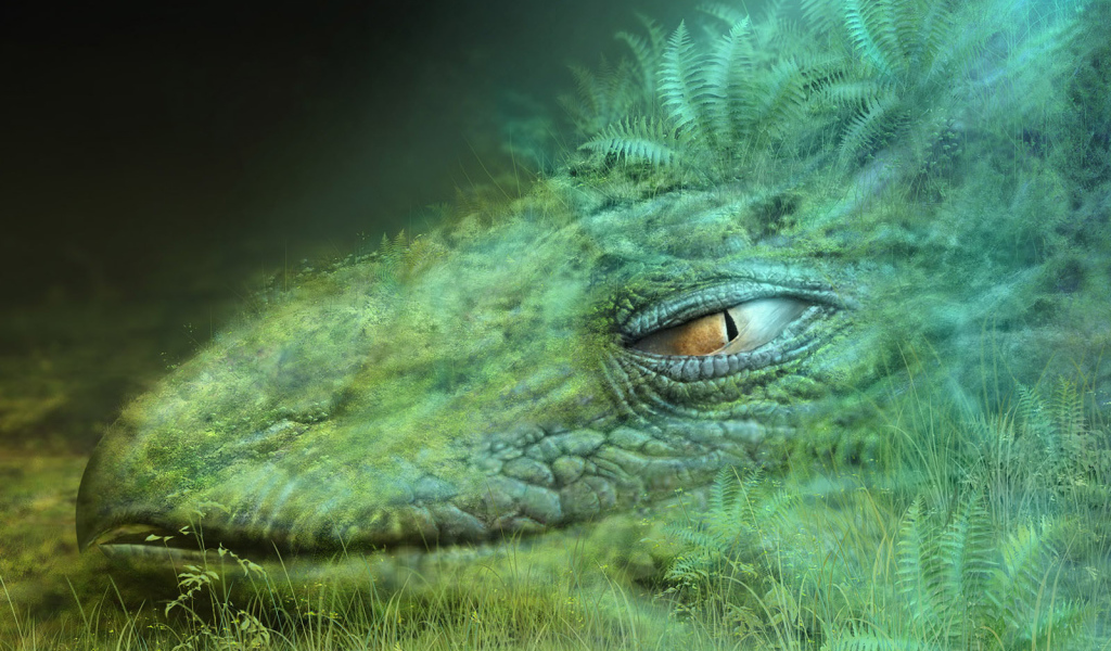 Голова дракона