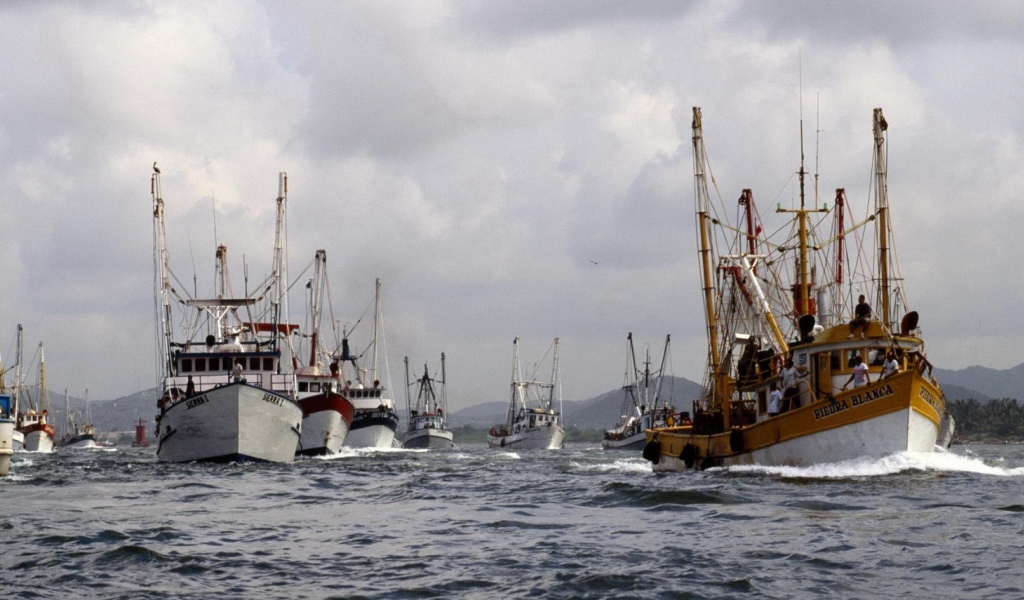 Суда в гавани