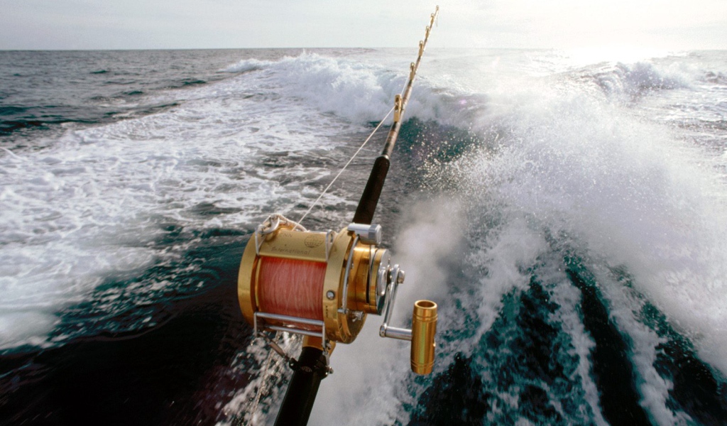 Спортивный лов рыбы