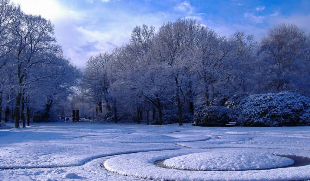 Зима в парке